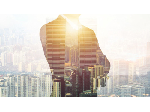 安迅商務(wù)告訴您：不立即注銷公司的危害